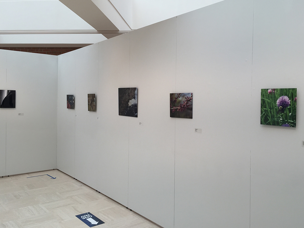 photograghs by Terry